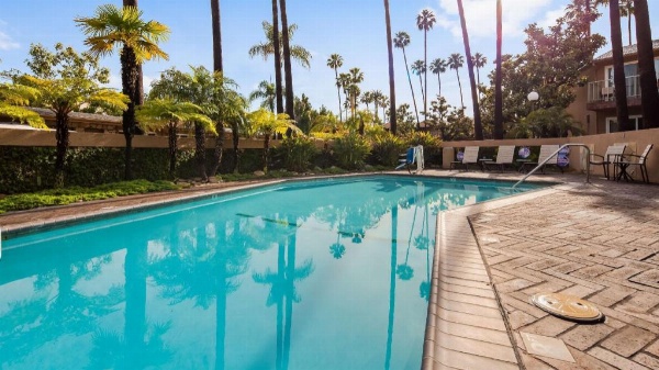 Best Western Pine Tree Motel Main image